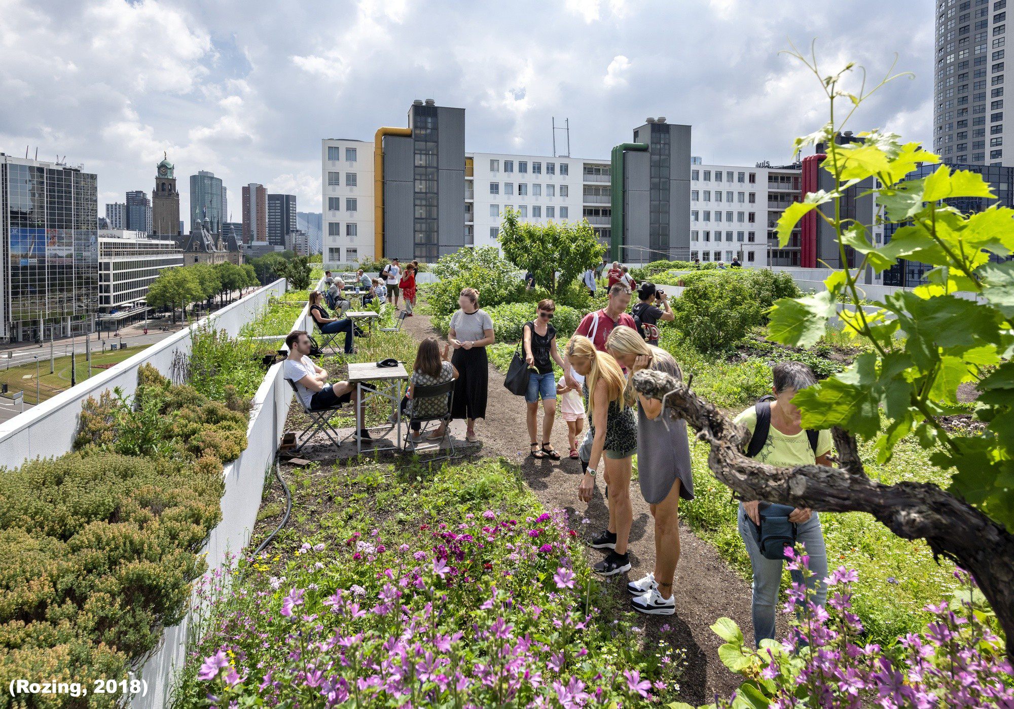 Toekomstbeeld wonen met landbouw in woonwijk 2050